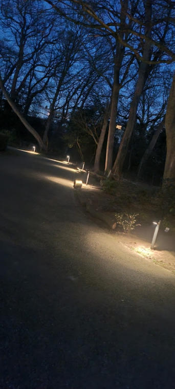 Buitenverlichting langs een tuinpad