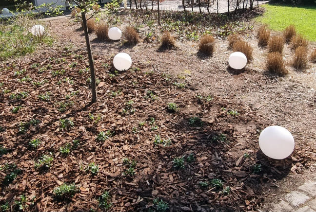 Buitenverlichting in een tuin